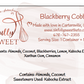 Blackberry Cobbler
